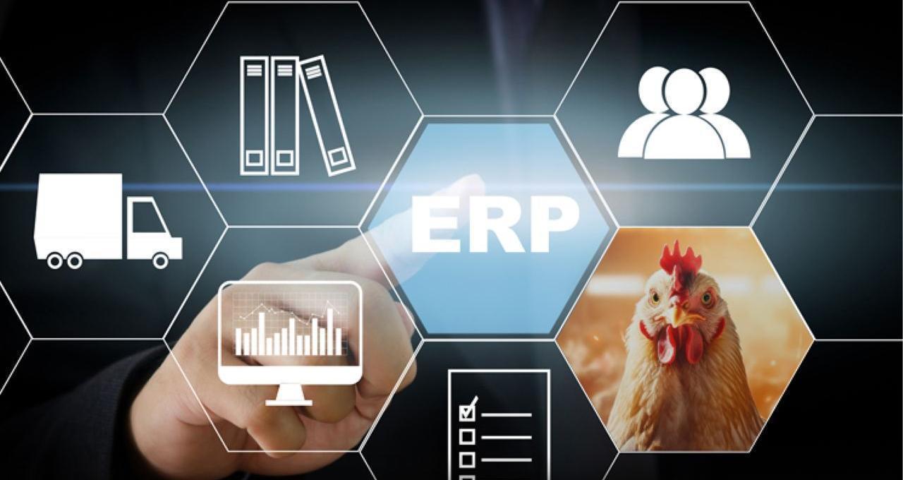 Группа «ПРОДО» начала внедрение системы ERP на своих птицефабриках